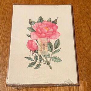 Vintage Current 1986 Pink and Green Botanical Art Print